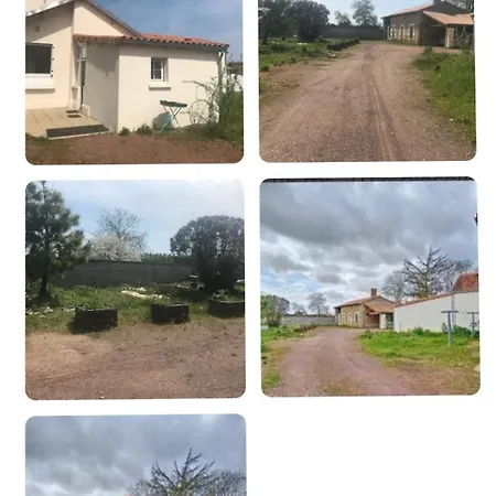 Chez Martine Hupsi